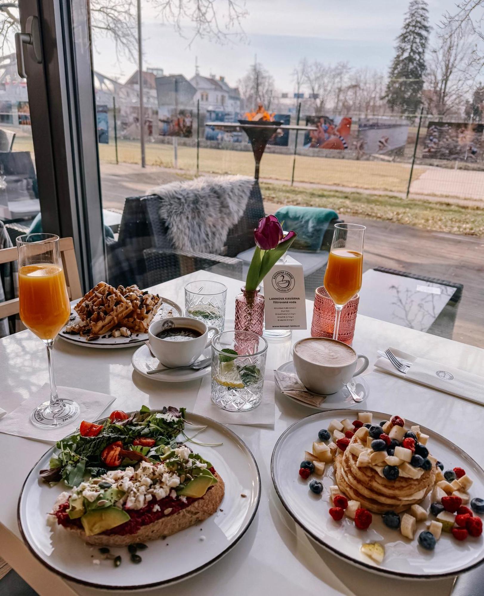 捷克，捷克布杰约维采阿特列尔兰那酒店住宿加早餐酒店- 立即预订，2025年价格